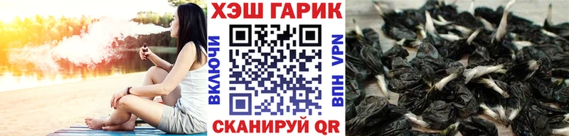 ГАШ ice o lator  Новосокольники 