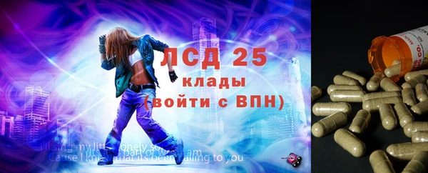 круглые Бородино